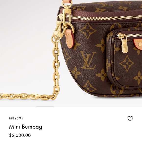 Louis Vuitton Brand New Mini Bum Bag - Picture 3 of 11